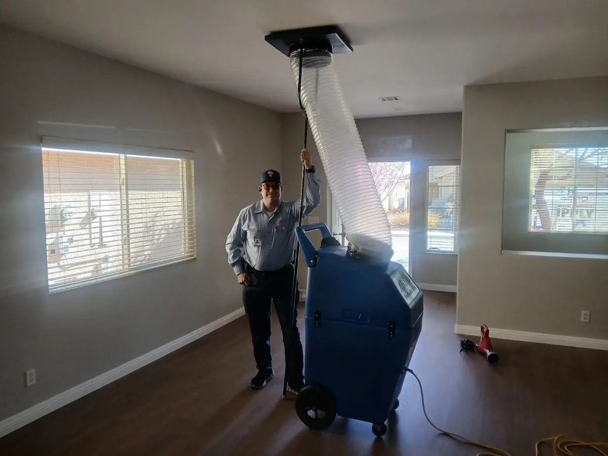 Professional Dryer Vent Cleaning work inside a Mount Pleasant home